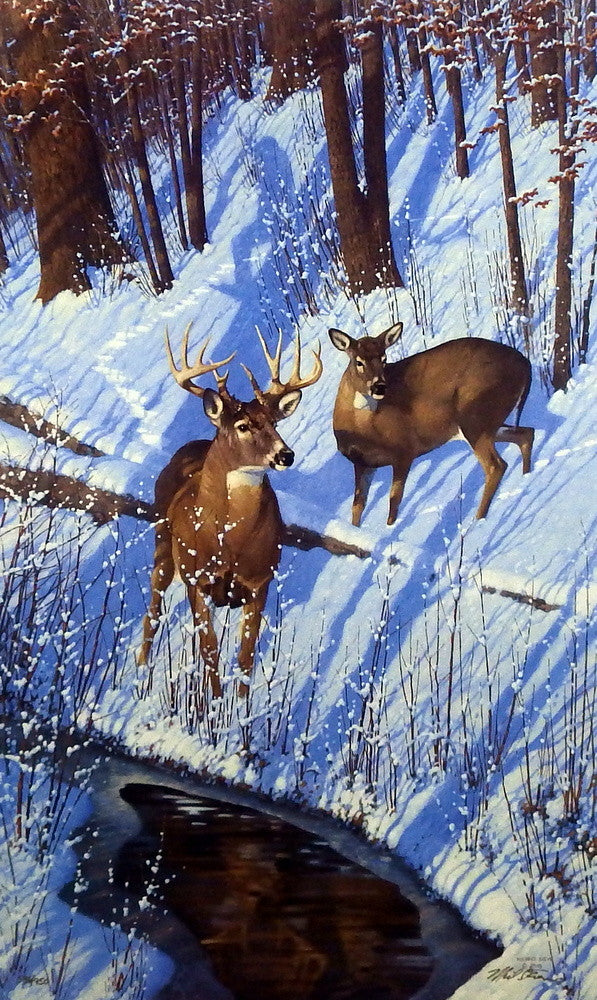 Michael Sieve Shadows of Bowhunting- Whitetail Deer