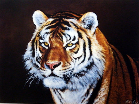 Edward Aldrich Siberian Tiger