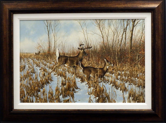 Michael Sieve Fast Break- Original- THIS PRINT HAS BEEN SOLD