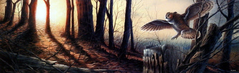 Terry Redlin Silent Flight