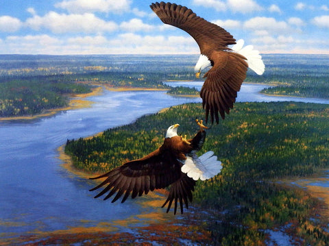 Michael Sieve Sky Dancers- Bald Eagles