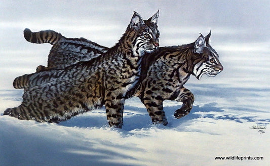 Phillip Crowe Snow Hunters