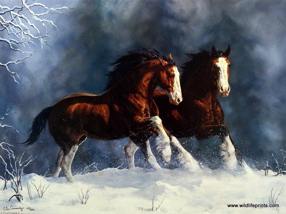 Brown Clydesdale Horse - Diamond Paintings 