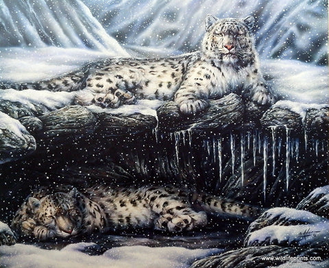 Bill Adair Picture of Snow Leopards