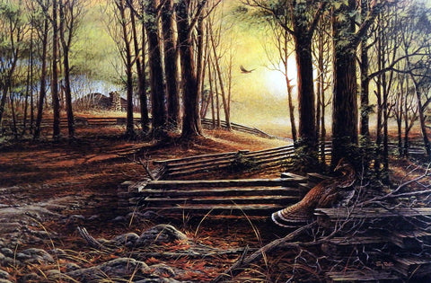 Terry Redlin Soft Shadows