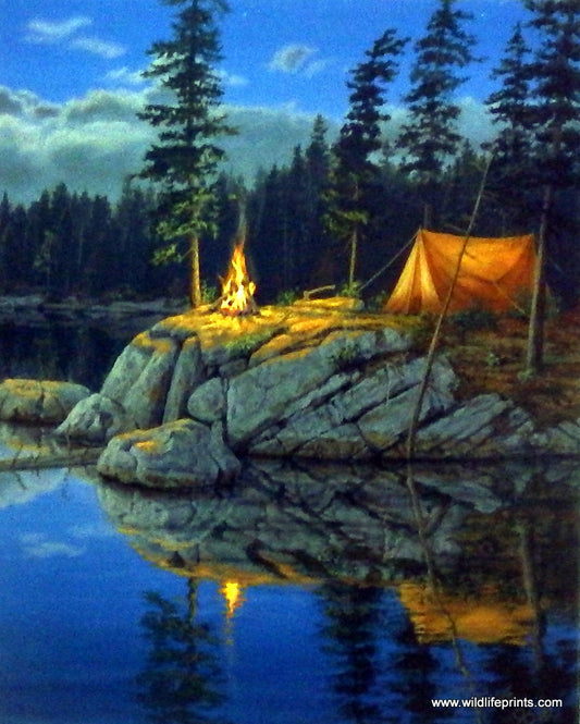 Darrell Bush Solitude