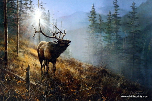 Jim Hansel Song In the Mist