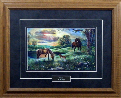 Jim Hansel Spirit- Framed