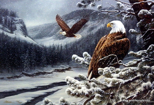 Rosemary Millette Spirit of the Wild- Eagle