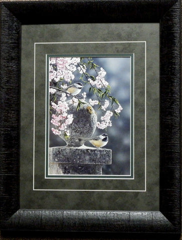 Greg Clair Spring Cascade Chickadee Art Print