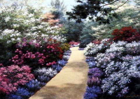 Diane Romanello Garden Path Art Print