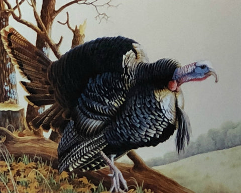 Robert Schmidt Spring Strut Wild Turkey Print