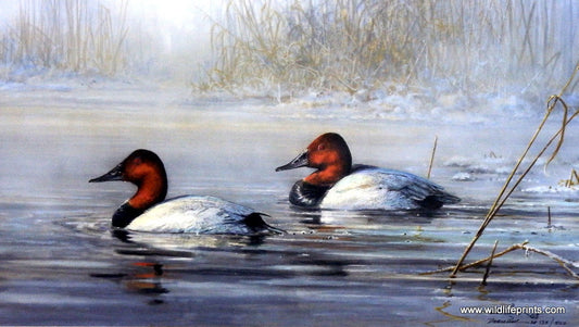 Scott Zoellick Spring Thaw