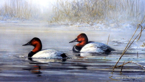 Scott Zoellick Spring Thaw