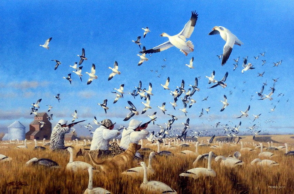 Michael Sieve Springtime Snow- Snow Geese