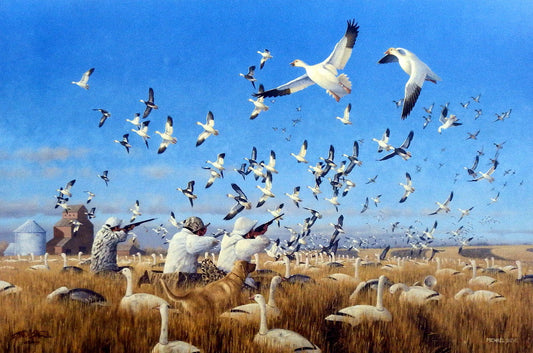 Michael Sieve Springtime Snow- Snow Geese
