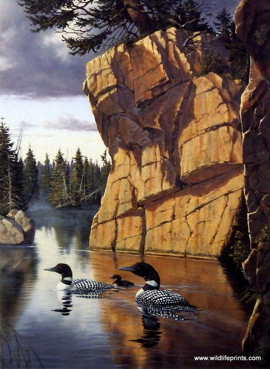 Derk Hansen Still Waters