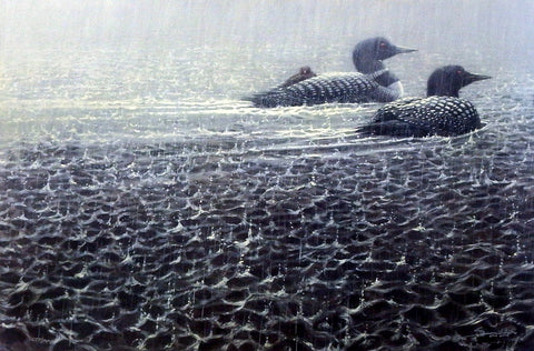 John Seerey-Lester Sudden Rain