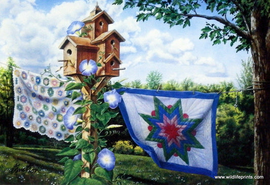 Doug Knutson Summer Breeze