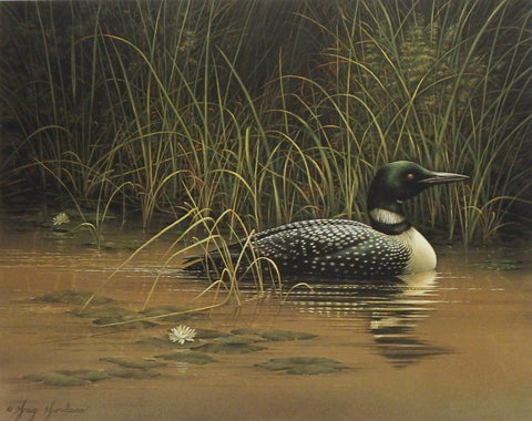 Greg Giordano Summer Sentinel Loon Print