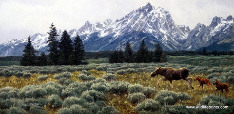Jan McGuire Summer in the Tetons