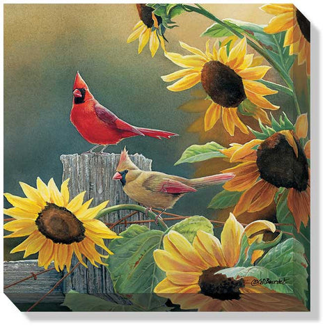 Susan Bourdet Sunny Side Up Cardinal