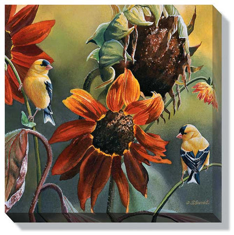 Susan Bourdet Sunseekers- Goldfinches