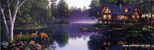 Kim Norlien Sweet Serenity