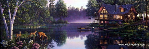 Kim Norlien Sweet Serenity