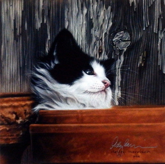 Lesley Harrison Taking A Break