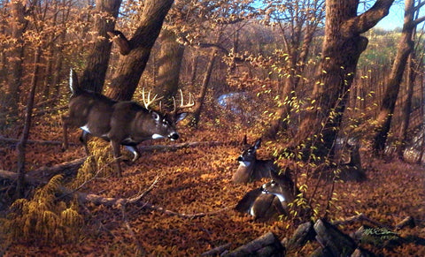 Michael Sieve Ten O' Clock Rounds- Whitetail Deer