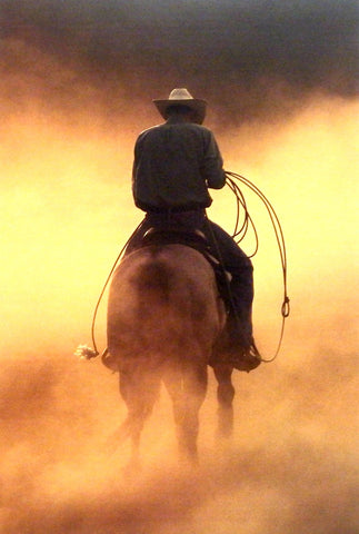 Robert Dawson Teo on the Ranch Cowboy Art Print