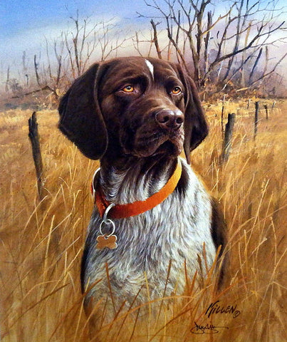 James Killen That's My Dog Too-Germain Shorthair