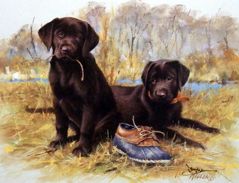 My chocolate lab outlet