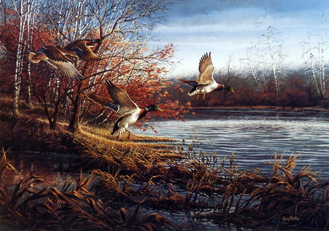 Terry Redlin The Backwater