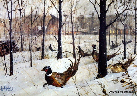 Les Kouba Print The Blizzard--Ring-Necked Pheasants