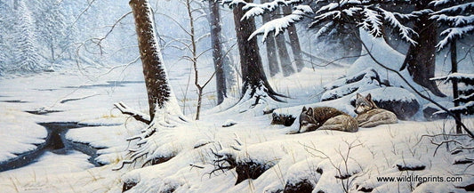 Michael Budden The Bonds of Winter