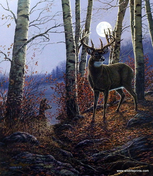 James Meger The Buck Stops Here