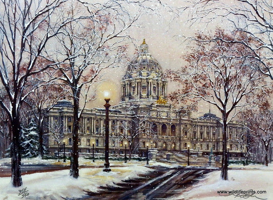 Susan Amidon The Capitol