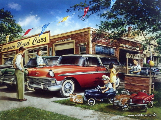 Dan Hatala The Car Lot