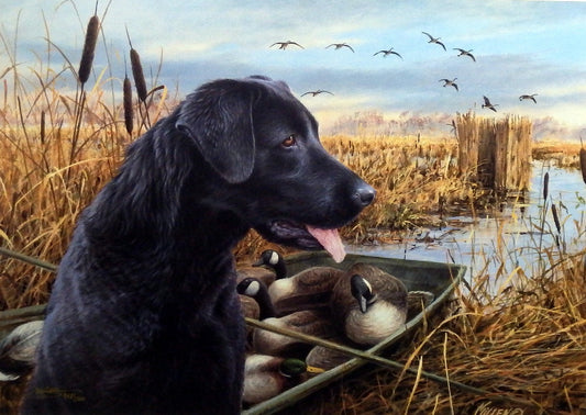 James Killen The Empty Blind-Black Lab