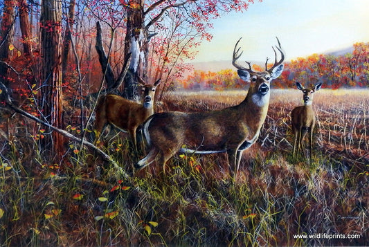 Jim Hansel The Gathering