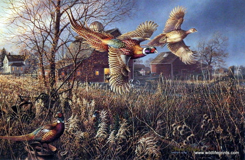 James Meger The Gathering