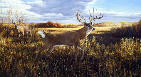 Ron Van Gilder The Hanson Buck