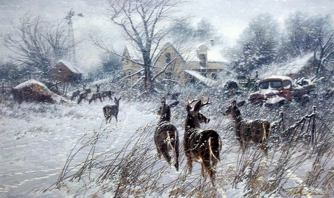 Michael Sieve The Homesteaders-Whitetail Deer