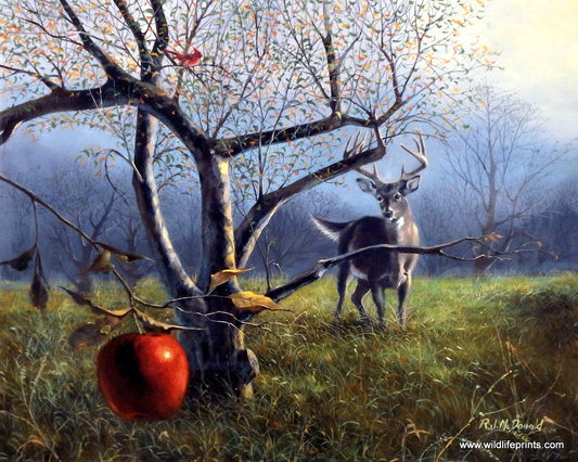 R.J. McDonald The Last Apple