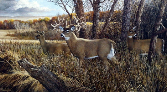 Ron Van Gilder The Missouri Giant