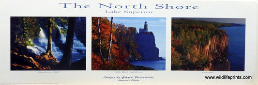 Gerald Brimacombe The North Shore