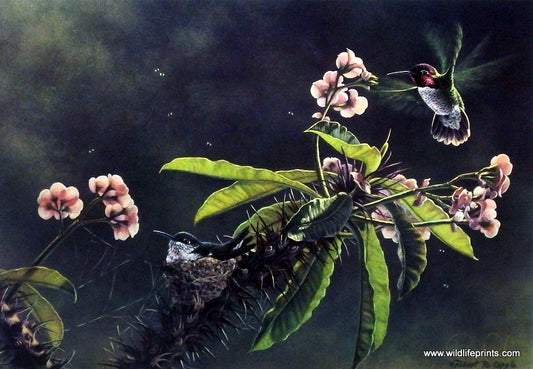 Robert R. Copple The Promise of Spring