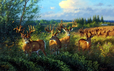 Michael Sieve The Reunion- Whitetail Deer